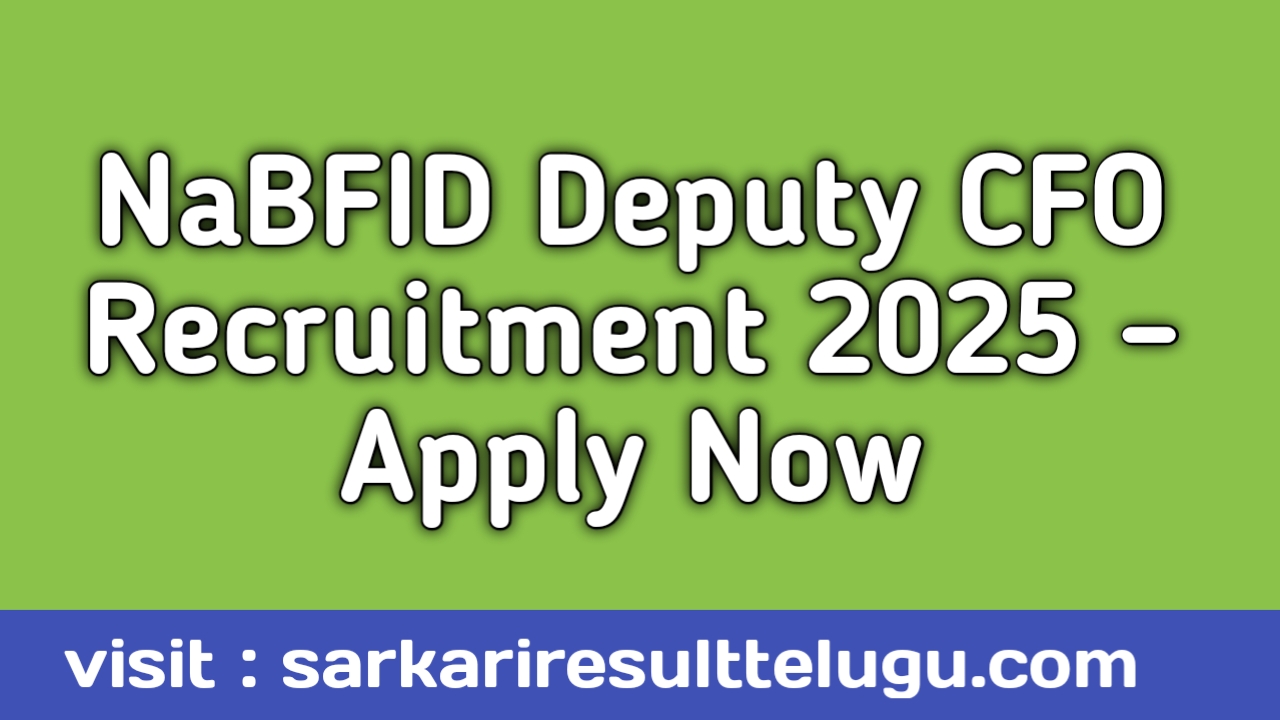 NaBFID Deputy CEO Recruitment