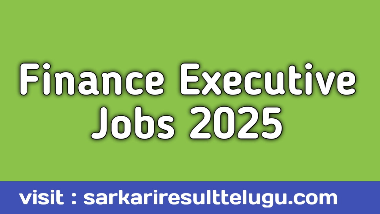 Finance Executive poster