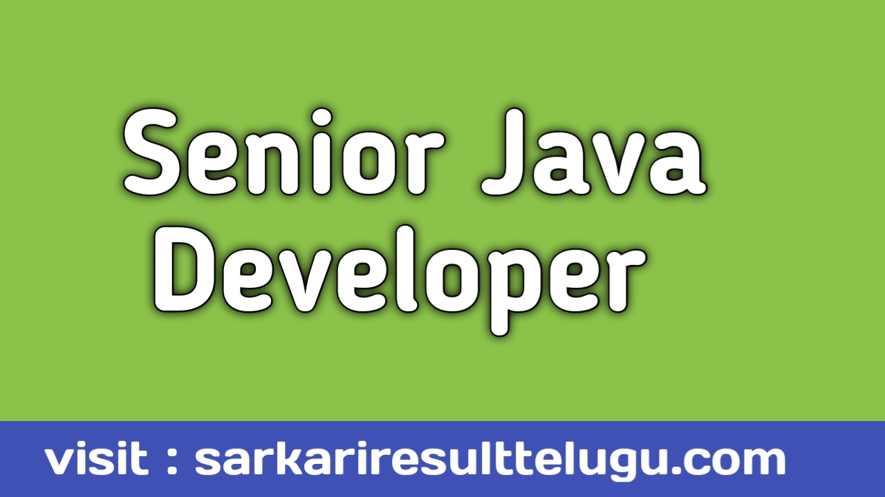 senior java developer